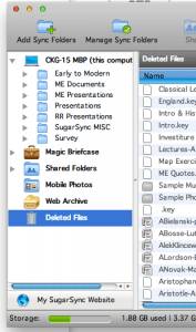 Screenshot of SugarSync's File Manager